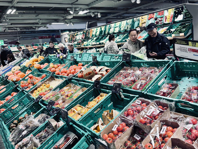 The Lion’s Lament: Lucerne’s Most Touching Tribute The Lion’s Lament: Lucerne’s Most Touching Tribute