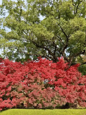 季節交替於東京皇居