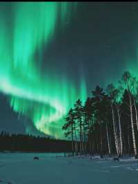 Chasing the Northern Lights in Mohe ❄️🌌 — -40°C Photography Diary 📸🦌