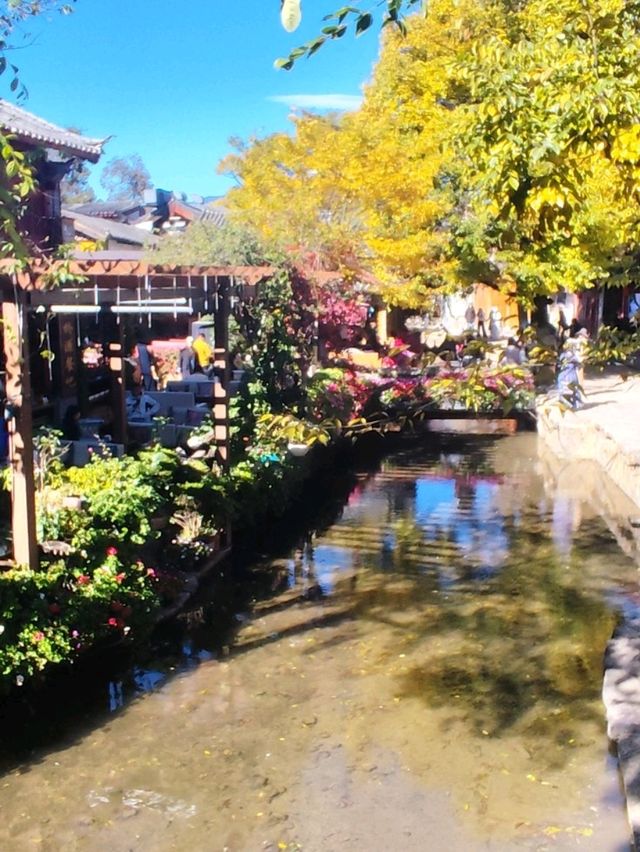 Lijiang Ancient Town: Where Timeless Vibes Meet Insta-Worthy Views 🌏✨ Lijiang Ancient Town: Where Timeless Vibes Meet Insta-Worthy Views 🌏✨