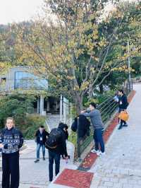 Mountain Market Vibes🌄