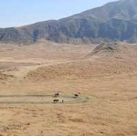 ภูเขาไฟ ASO “The Breathing Earth 🌍”