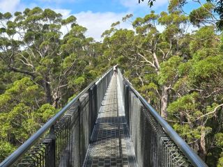 Valley of the Giants, Western Australia
