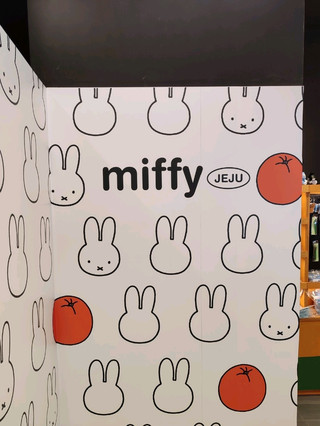 미피 제주 한정판 기념품 & 굿즈!