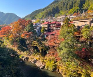 Magical Autumn Vibes at Mount Mitake 🍁⛰️