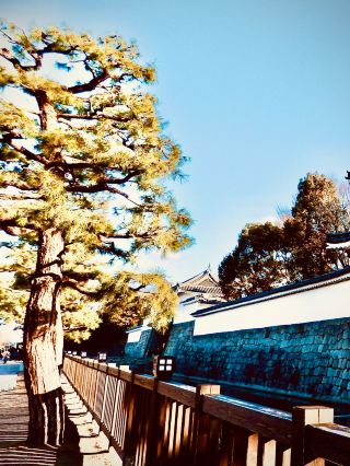 Kagoshima’s Sengan-en Garden & Sakurajima View