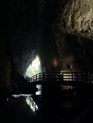 Akiho-do Cave, located 100 meters underground in Akiyoshidai Quasi-National Park, is one of Japan's largest stalactite caves, stretching over 11.2 kilometers.

The temperature inside remains around 17 degrees Celsius year-round, making it pleasant to visit in any season. The sightseeing route inside the cave is about 1 kilometer long and has three entrances: the Kurotani entrance, the elevator entrance, and the main entrance. All three entrances allow entry, but if you're worried about the climb, you can enter from the Kurotani entrance. If you want to move directly to Akiyoshidai, you can exit directly from the elevator entrance.

The interior of Akiho-do Cave is filled with various uniquely shaped stalactites, showcasing the breathtaking beauty of nature's artistry. Examples include the 15-meter-high and 4-meter-wide "Golden Pillar" and the "Hundred-Panel Formation," resembling terraced rice fields. Notably, you can even see a resemblance to Taiwan here! Before exiting the cave towards the main entrance, the entrance, reflected in the river, appears to resemble the shape of Taiwan, a truly amazing sight. Mine City has been engaged in friendly exchanges with Taiwan for about 10 years. At the entrance to the Qiufangdong Shopping Street, there's a Queen's Head Friendship Memorial Stone from Yehliu Geopark; in winter, you might even see the Queen's Head covered in snow!

It's a great place to escape the summer heat and experience the wonders of nature. If you're ever in Yamaguchi, I highly recommend checking this place out!