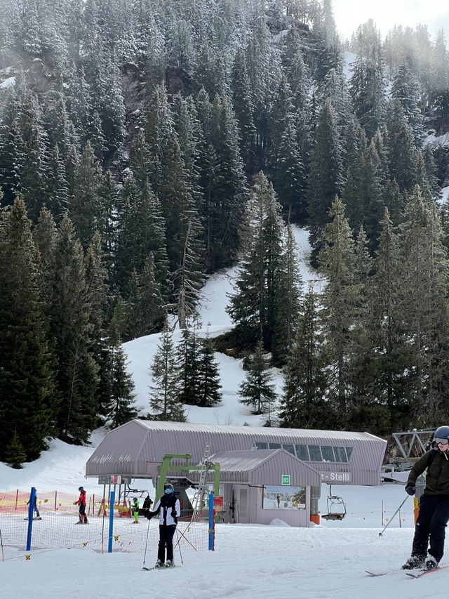 🇨🇭스위스에서 스키타기 ⛷️