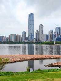 Shenzhenrencai Park is Amazing ⛲️🇨🇳