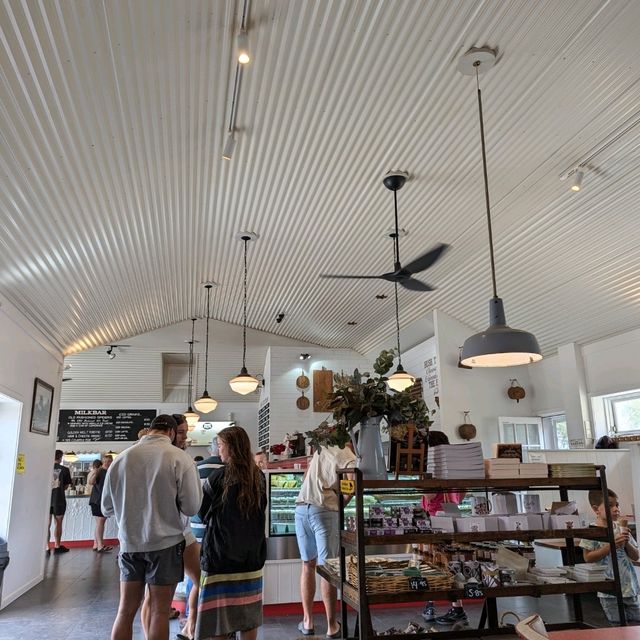 Narooma，海豹，果冻海