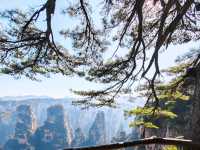 美麗的張家界黃石寨