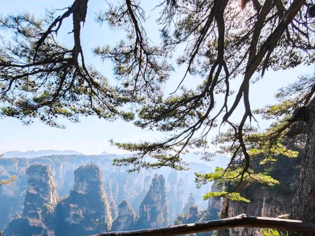 美麗的張家界黃石寨 美麗的張家界黃石寨