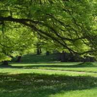 Alexandrinendenkmal…She’s there…