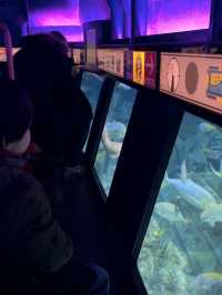 Legoland Windsor Resort