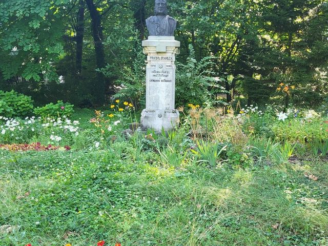 Bucharest Botanical Garden 🌺🌸🌼