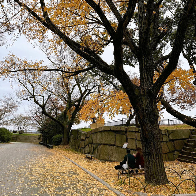 Osaka Castle 🏛️