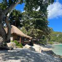 Koh Tao, Thailand 🌴