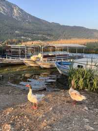 Turkey: Akyaka short boat trip⛵️