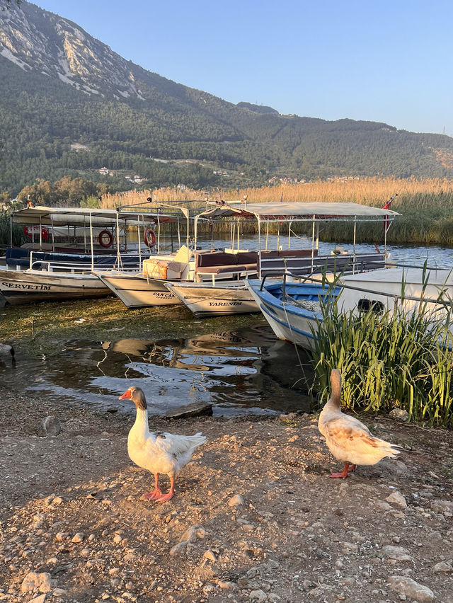 Turkey: Akyaka short boat trip⛵️