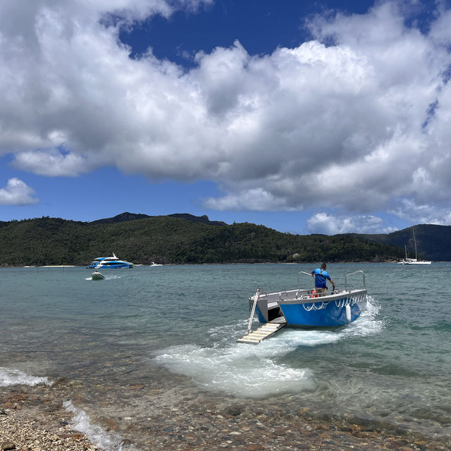 Whitehaven Beach 🇦🇺🦘🐨