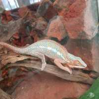 A very big zoo in Poland 🇵🇱