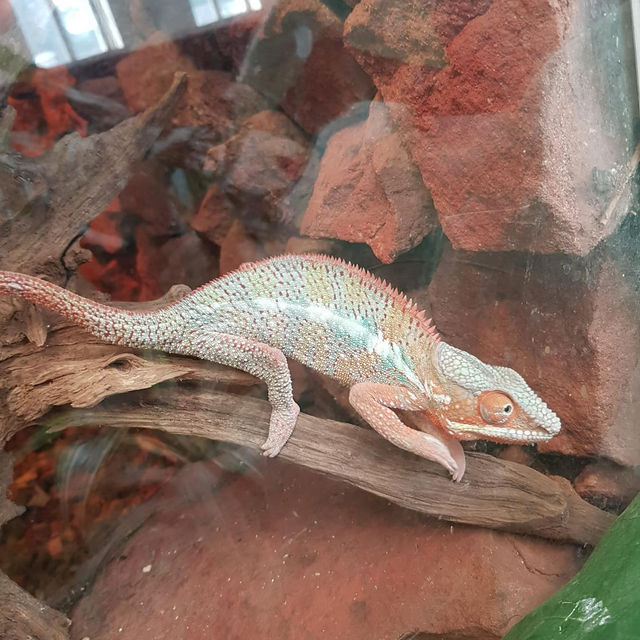 A very big zoo in Poland 🇵🇱