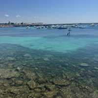 Favignana is a hidden gem near Sicily 