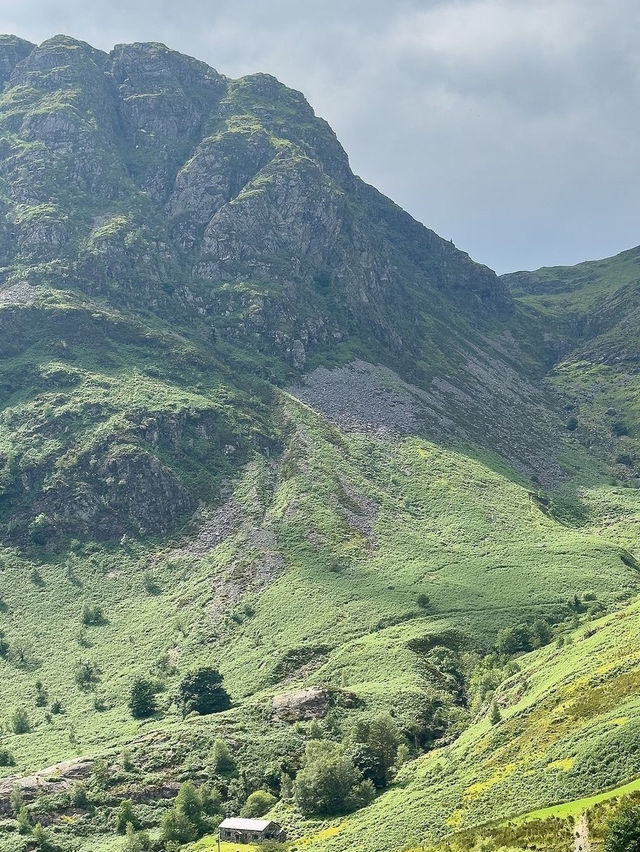 Grasslands of Wales is magical 🇬🇧