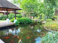 รีสอร์ตริมชายหาดเฉวง บรรยากาศร่มรื่น