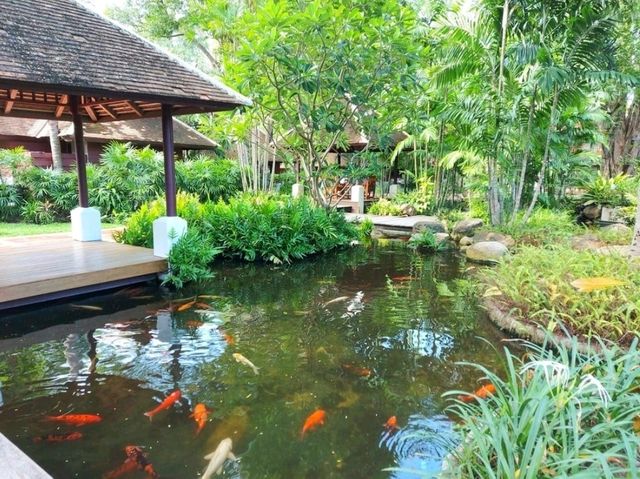 รีสอร์ตริมชายหาดเฉวง บรรยากาศร่มรื่น