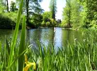 Kew Gardens - Itinerary ✨⭐✨⭐✨