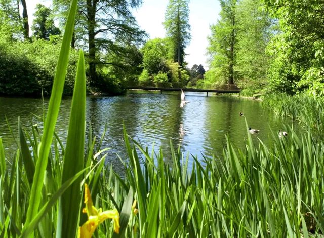 Kew Gardens - Itinerary ✨⭐✨⭐✨
