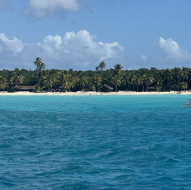 Boat Trip to Saona Island 🎉🍾