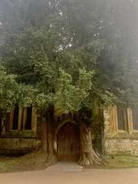 Saint Edward’s and the Hobbit?