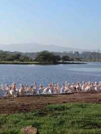 Lake Nakuru National Park, Kenya