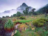  Discover Tasmania's Wilderness: The Hidden Gem of Australia!