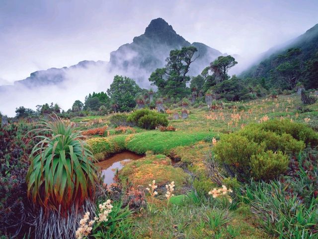 Discover Tasmania's Wilderness: The Hidden Gem of Australia!