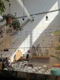 Tel Aviv: Hummus, Heatwaves & Hot People
