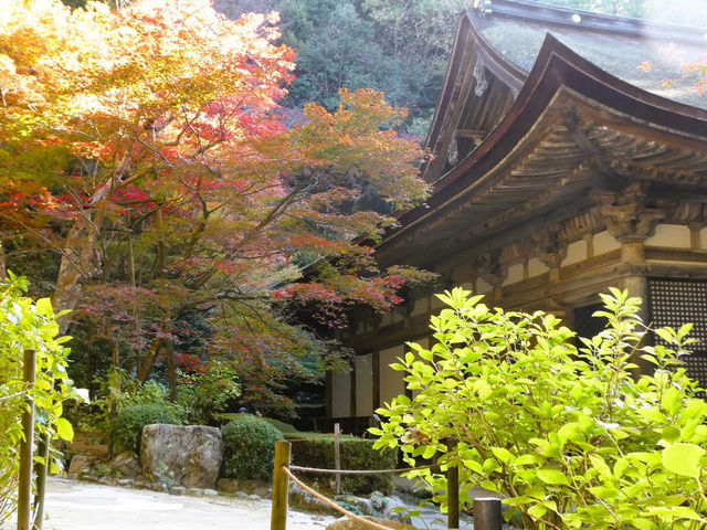 A temple in the Nara period that was opened by Gyoki Bosatsu