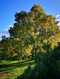 Chartwell Weekend Escape: A London Traveler’s Hidden Gem