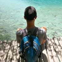 Plitvice Lakes – A Journey Through Waterfalls and Forests