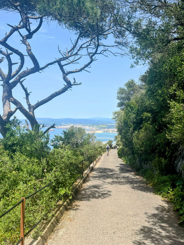 Monkeying around on Gibraltar🇬🇮 