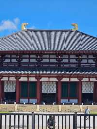 Nara: Where Ancient Japan Walks Beside You