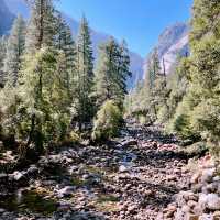 🌄 How to Get Around Yosemite National Park: Transportation Tips That Matter