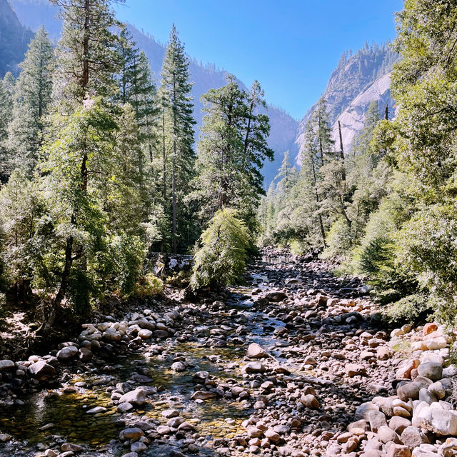 🌄 How to Get Around Yosemite National Park: Transportation Tips That Matter