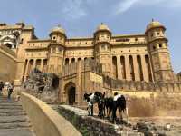 Jaipur one day itinerary 