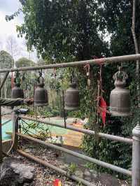 Hidden gem: tiger temple in Chumpon