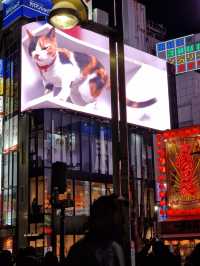 Explore the contrasts of Shinjuku — Modern buzz meets retro charm