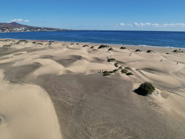 🏜️ Maspalomas Dunes: Gran Canaria’s Golden Desert by the Sea 🌴✨ 🏜️ Maspalomas Dunes: Gran Canaria’s Golden Desert by the Sea 🌴✨