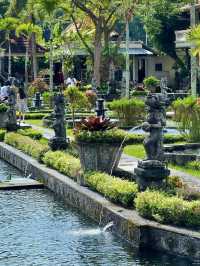 Tirta Gangga Water Palace, Bali: A Serene Garden of Royal Waters
